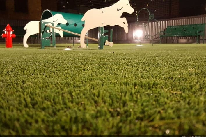 pet turf installation